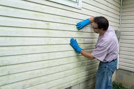 Best Fiber Cement Siding Installation  in Ukiah, CA